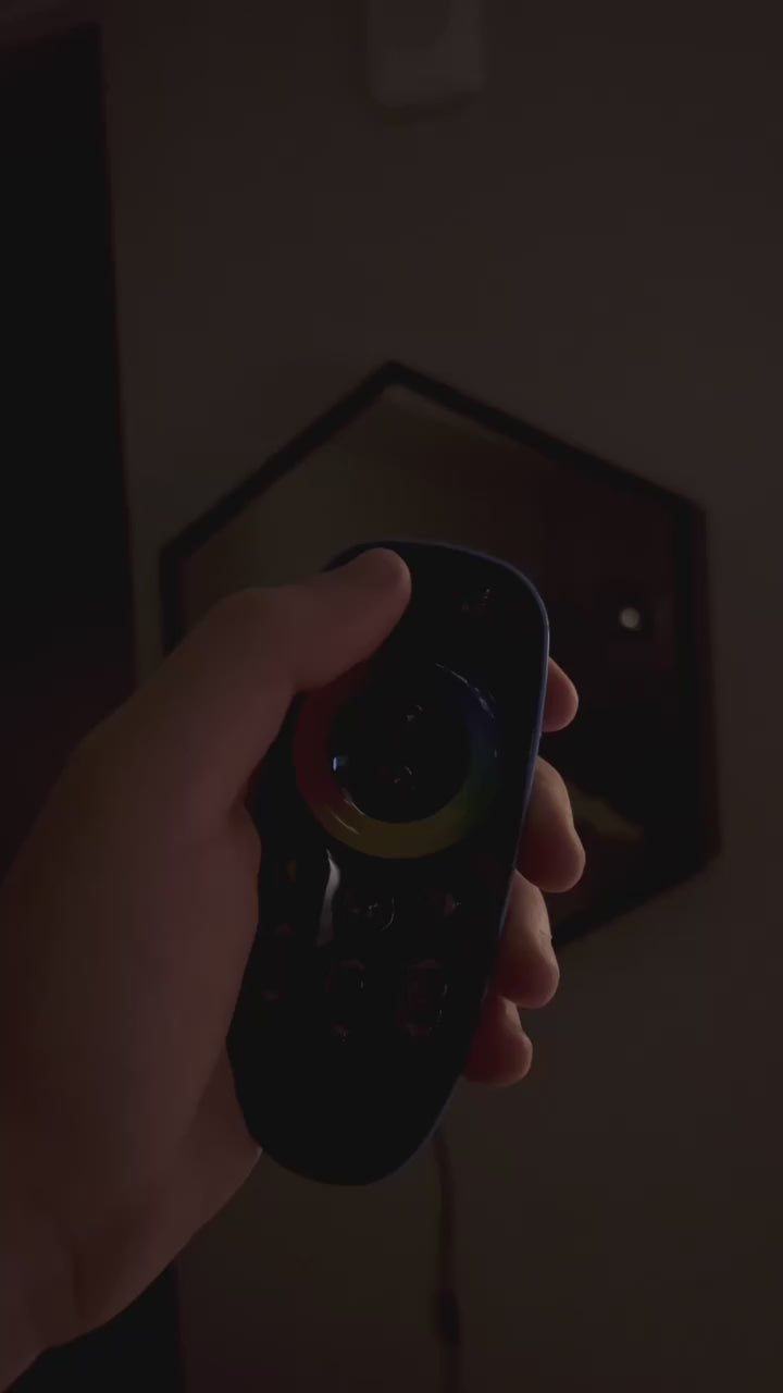 Using the remote